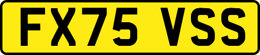 FX75VSS