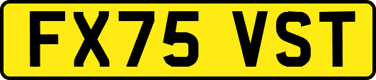 FX75VST