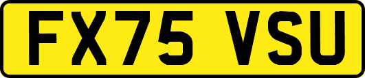 FX75VSU