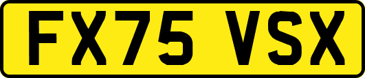FX75VSX