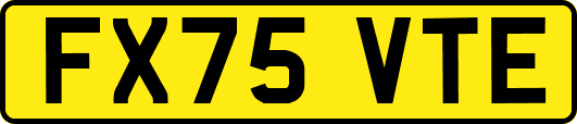FX75VTE