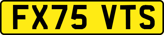 FX75VTS