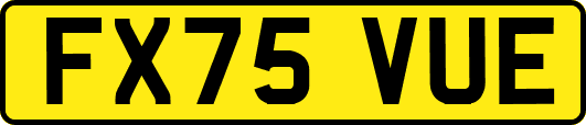 FX75VUE