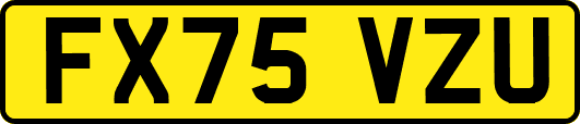 FX75VZU