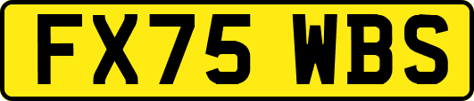 FX75WBS