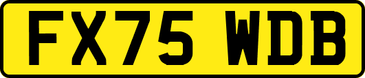 FX75WDB