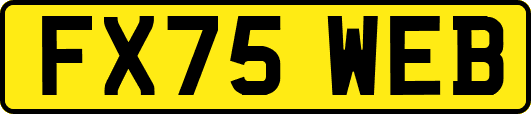 FX75WEB