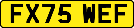 FX75WEF