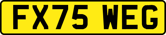 FX75WEG