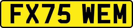 FX75WEM