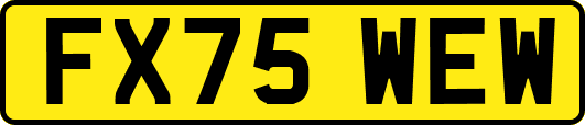 FX75WEW