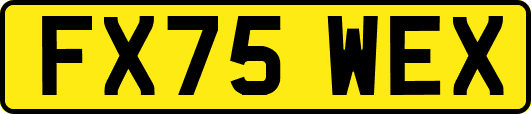 FX75WEX