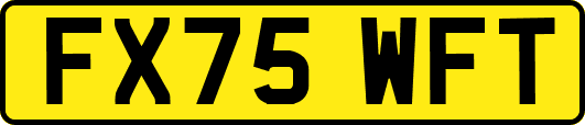 FX75WFT