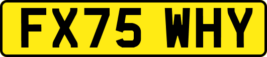 FX75WHY