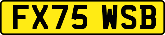 FX75WSB
