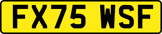 FX75WSF