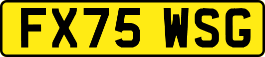 FX75WSG