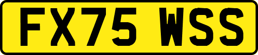 FX75WSS
