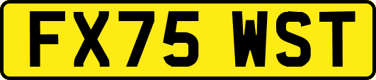 FX75WST
