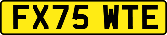 FX75WTE