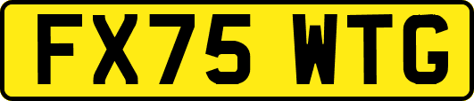 FX75WTG