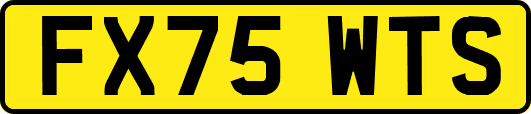FX75WTS