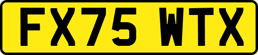FX75WTX