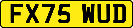 FX75WUD