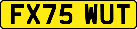 FX75WUT