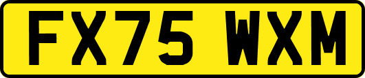 FX75WXM