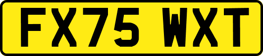 FX75WXT