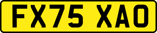 FX75XAO