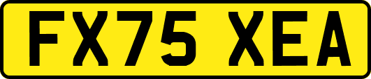 FX75XEA