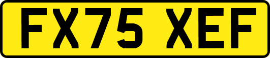 FX75XEF