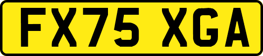 FX75XGA