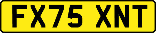 FX75XNT