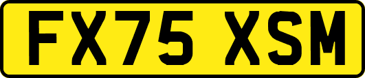 FX75XSM