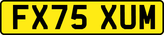 FX75XUM