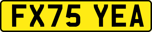 FX75YEA