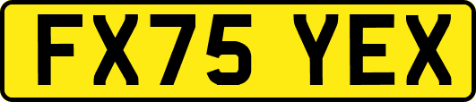 FX75YEX