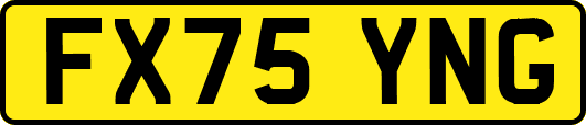 FX75YNG