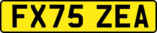FX75ZEA