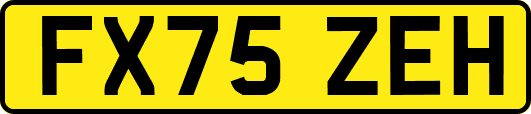 FX75ZEH
