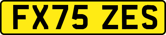 FX75ZES