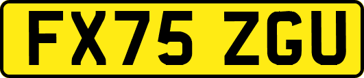 FX75ZGU