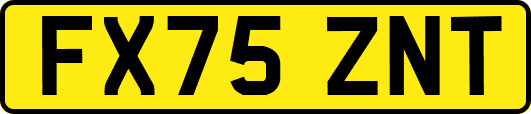 FX75ZNT