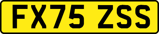 FX75ZSS