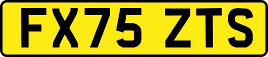 FX75ZTS