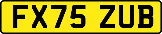 FX75ZUB