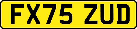 FX75ZUD